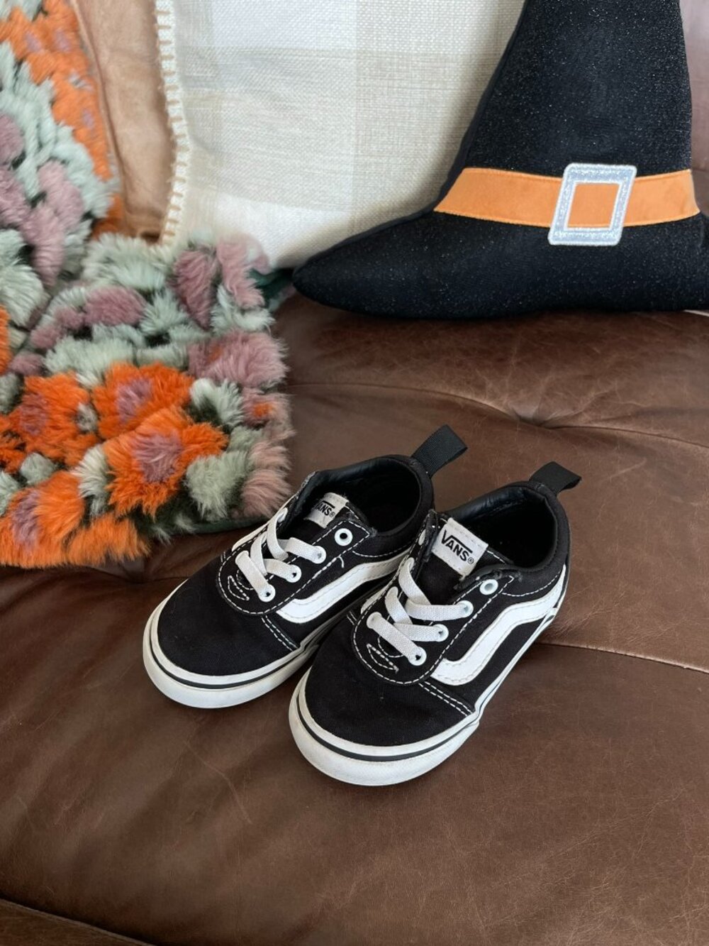 !Baby Vans!